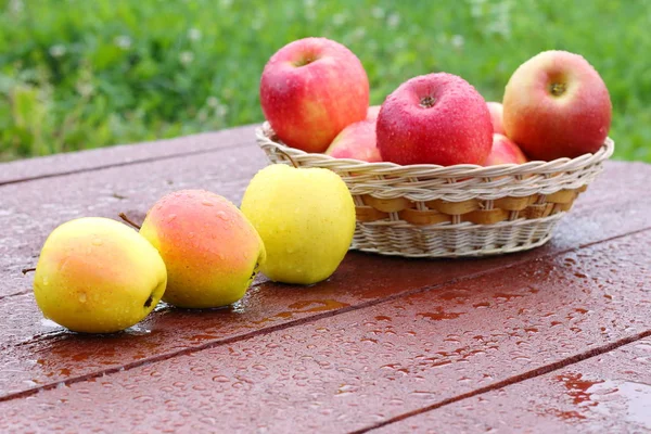 Manzanas Frescas Sobre Mesa Jardín — Foto de Stock