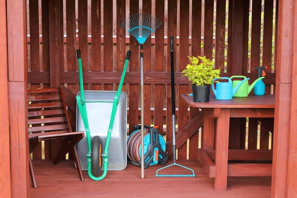 Decorative shrub along with garden equipment and tools in a wooden shed.