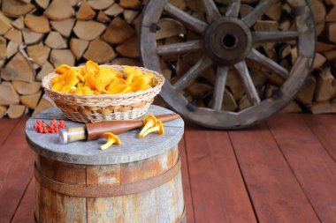 Taze orman mantarları odun yığınına karşı ahşap bir küvettedir..