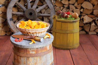 Taze orman mantarları odun yığınına karşı ahşap bir küvettedir..