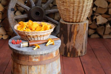 Taze orman mantarları odun yığınına karşı ahşap bir küvettedir..