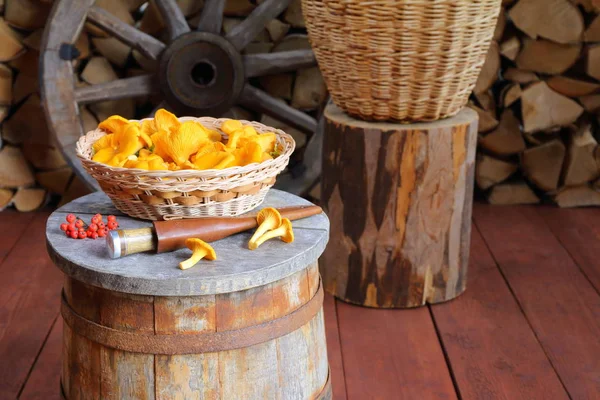 Taze orman mantarları odun yığınına karşı ahşap bir küvettedir..