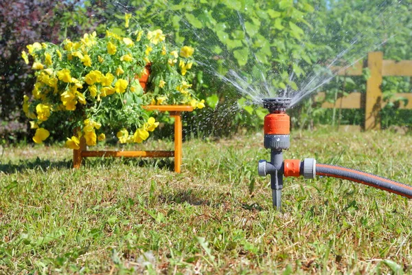 Bloemen Planten Water Geven Bij Tuinslang Met Sproeier — Stockfoto