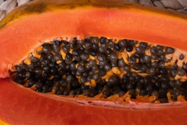 İçinde canlı turuncu renkler ve siyah tohumlar olan tohumlarla ikiye bölünmüş Papaya meyvesi. Doğal arka planda egzotik tropik meyve, beslenme, beslenme ve taze organik gıda kavramları için mükemmel..