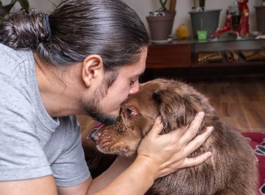 Sevecen köpek ve evdeki sahibi. Sonsuza dek arkadaşız. Sevgi dolu köpek. 