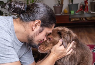 Sevecen köpek ve evdeki sahibi. Sonsuza dek arkadaşız. Sevgi dolu köpek. 