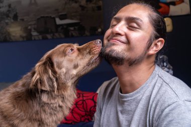 Sevecen köpek ve evdeki sahibi. Sonsuza dek arkadaşız. Sevgi dolu köpek. 