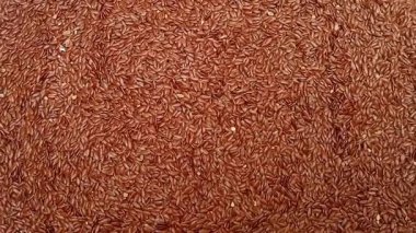 Organik keten tohumları arka plan, üst görünüm, Dry Linum usitatissimum, yiyecek arka planı