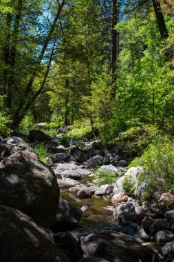 Nehir Sedona 'dan akıyor, canlı yeşil gr ile çevrili.