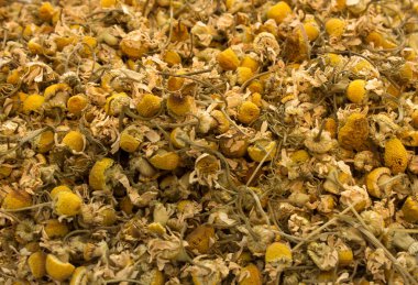 Kuru papatya çiçeği arka planı