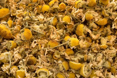 Kuru papatya çiçeği arka planı