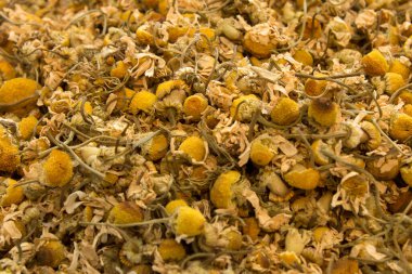 Kuru papatya çiçeği arka planı