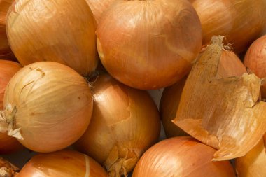 Bu taze soğanların bir fotoğrafı.