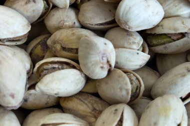 Bu fındık fıstığının fotoğrafı.