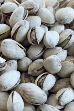 Bu fındık fıstığının fotoğrafı.