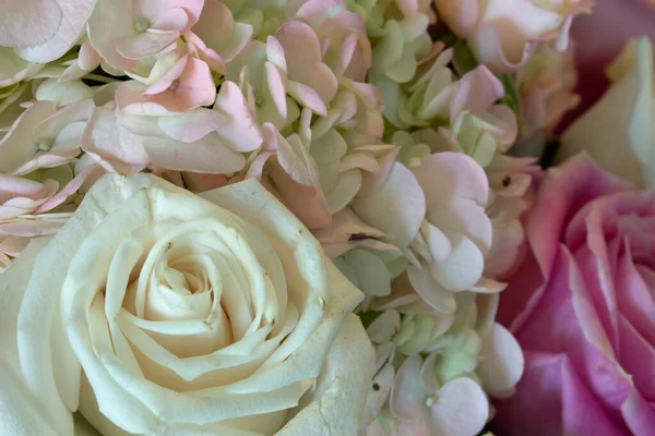 Zdjęcie Bukietu Białych Różowych Róż — Zdjęcie stockowe