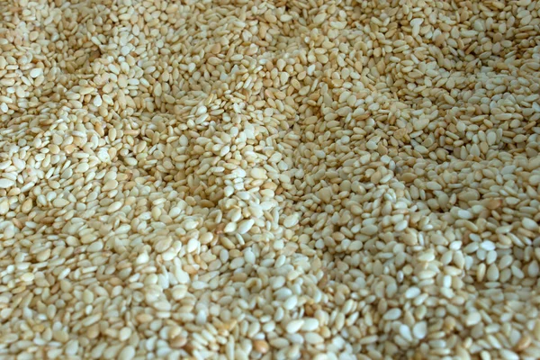 Photograph Sesame Seeds — Stock Photo, Image