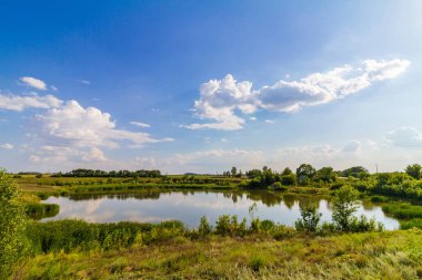 Yeşil bitkiler ve bulutların üstünde mavi gökyüzü ile küçük gölet