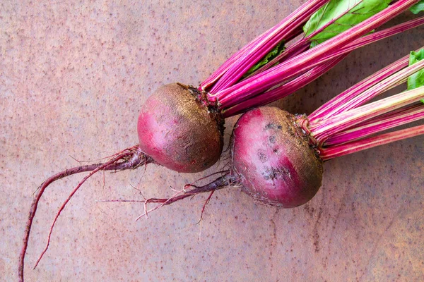 Buraki Świeże Organiczne Buraki Zardzewiały Metal Tła Zbliżenie Selektywny Fokus — Zdjęcie stockowe