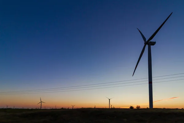 Group of windmills for renewable electric energy production. Sunset