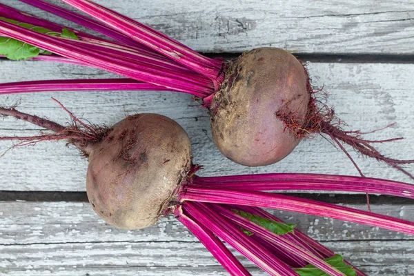 Frische Bio Rüben Rote Bete Auf Grauem Rustikalem Holzgrund Nahaufnahme — Stockfoto