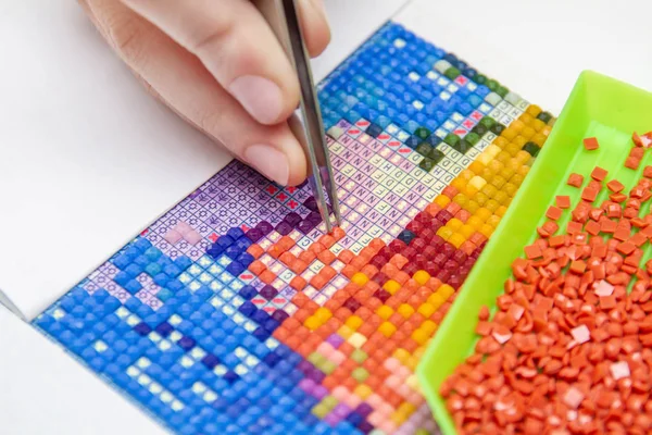 Kız toplamak elmas resim. Elmas Nakış bir cımbız ile. Akrilik rhinestones. Portre, seçici odak