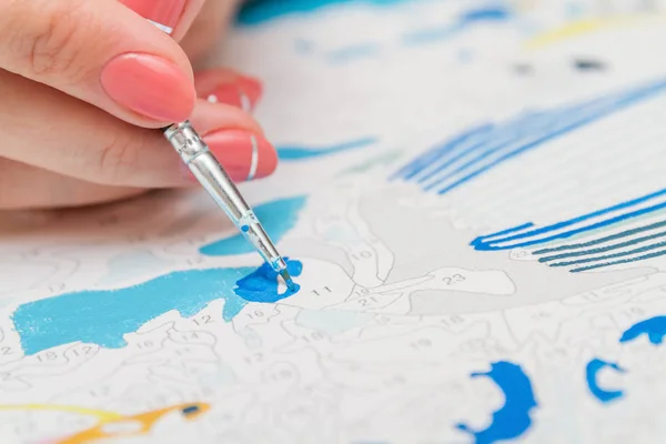 Kız bir fırça boya ile numaraları tarafından tuval üzerine çizer. Sayılarla resim. Tuval üzerinde çizim. Yaratıcı hobi. Yeni başlayanlar için resim. Bir hobi kavramı. Portre, seçici odak