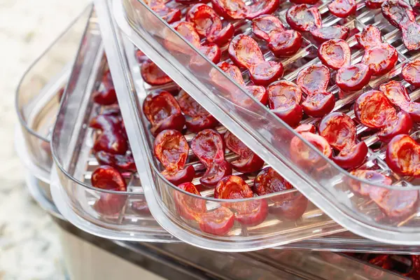 Kurutucuda kiraz var. Susuz bırakma tepsisinde kiraz yarıları. Yakın çekim, seçici odaklanma