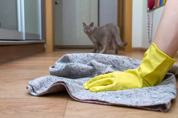 Meisje Met Rubberen Handschoenen Wast Vloer Thuis Met Een Doek — Stockfoto