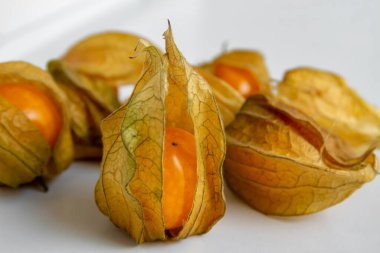 Hafif arka planda kabuğu olan birkaç portakal rengi Physalis Peruviana.