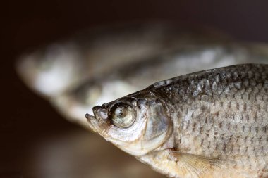 Koyu kahverengi arka planda kurutulmuş hamamböceği. Biraya iyi gider. Yakın plan.