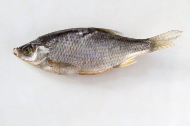 Hafif arka planda kurumuş hamamböceği - Biraya iyi atıştırmalık.