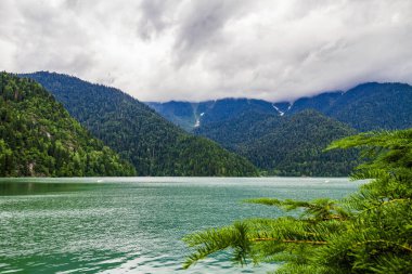 Abhazya 'daki Ritsa Gölü. Kıyısında yeşil çam ormanı tepeleri olan dağ gölü..