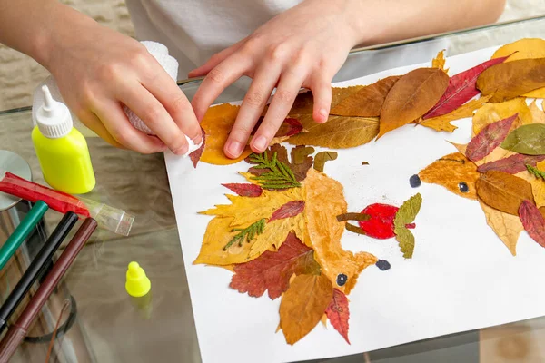 Kız kuru yapraklardan başvuru yapıyor. Çocuklar sonbahar temasına başvururlar. Kirpiler ve elma.