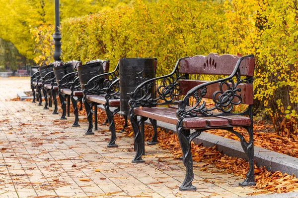 Perspective Row Wooden Benches Autumn Park Autumn Landscape — Stock Photo, Image