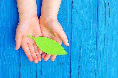 Ahşap mavi arka planda yeşil kağıt yaprak tutan çocuk elleri. Uzayı kopyala Çevre koruma kavramı.