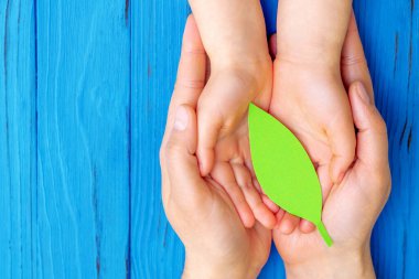 Yeşil kağıt yaprağın üst görüntüsü, ahşap mavi arka planda yetişkin ve çocuğun ellerinde. Dünya Çevre Günü, Dünya Sağlık Günü ve Dünya Günü kavramı. Boşluğu kopyala.