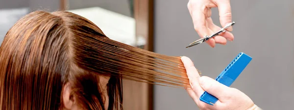 Hairdresser Hands Cutting Long Hair Woman Beauty Salon — Stock Photo, Image
