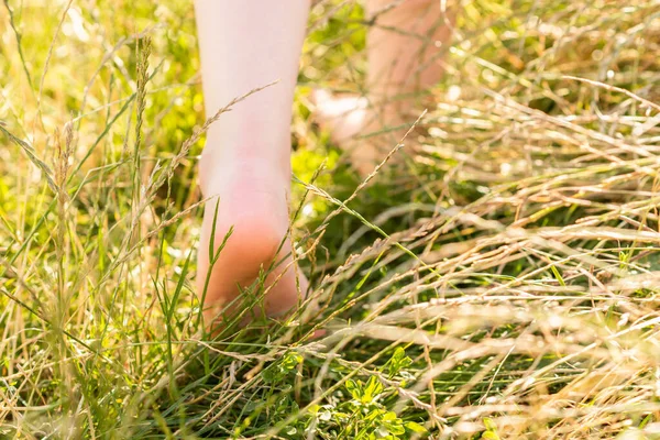 Back view of child\'s feet walking on the grass walking on the grass in summer. Close up.