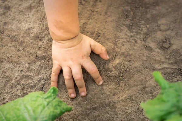 Close Hand Baby Touches Dry Soil Background Outdoors — Stock Photo, Image