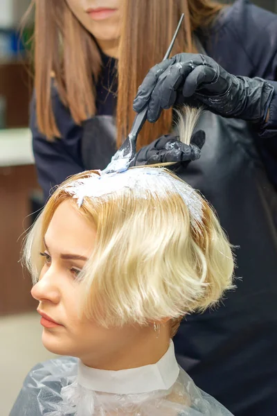 Cabeleireiro Luvas Pretas Tinge Cabelo Jovem Mulher Cor Branca Salão — Fotografia de Stock