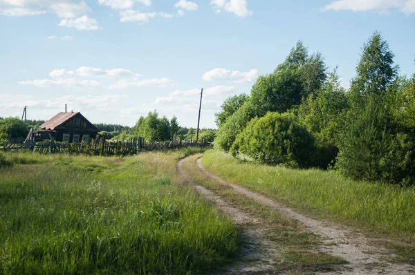 Зелений Пейзаж Російських Сільській Місцевості — стокове фото