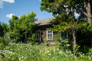 Kırsal kesimde eski manor ile yaz aylarında manzara