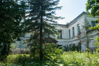 Kırsal kesimde eski manor ile yaz aylarında manzara