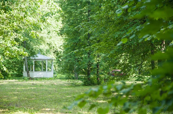 Kırsal kesimde eski manor ile yaz aylarında manzara