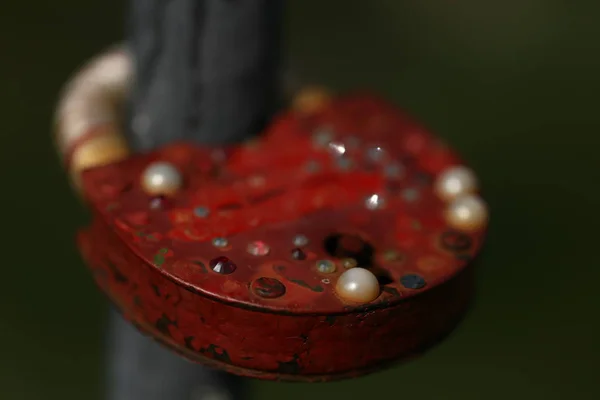 Une Serrure Rouge Avec Des Perles — Photo