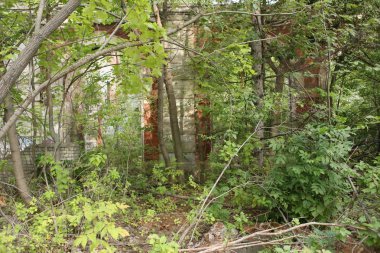 Kırsal kesimde eski manor ile yaz aylarında manzara