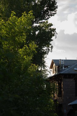 Eski ahşap ev. Pencereler ve çalılar