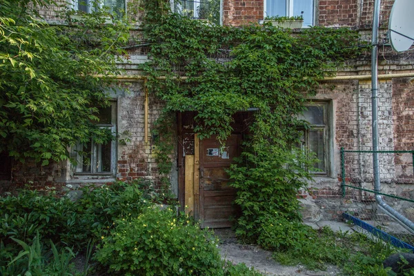 Ivy Ingresso Una Casa Mattoni Vintage — Foto Stock