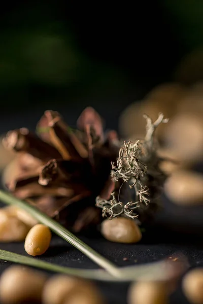 Macro Cono Pino Muschio Grigio — Foto Stock